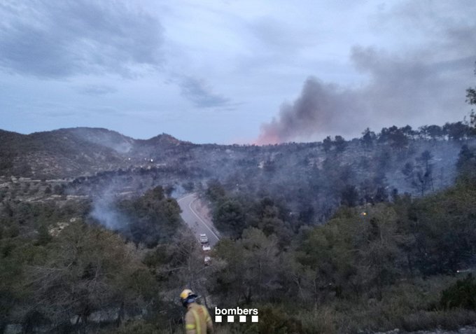 🔥 Millora la situació de l'incendi de #Batea (Terra Alta) 🚒 Els Bombers han aconseguit tancar el flanc dret amb línia d'aigua i eines manuals, i el vent ha començat a afluixar #IFBatea ➕ Notícies a rtve.cat