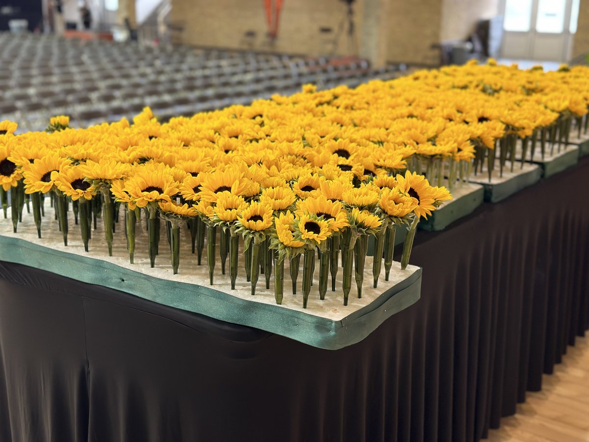Getting ready for the 2024 @UTexasLaw Sunflower Ceremony!
