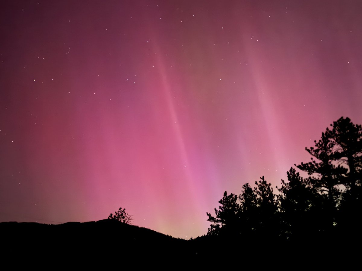 Amanda O'Connor tweet media