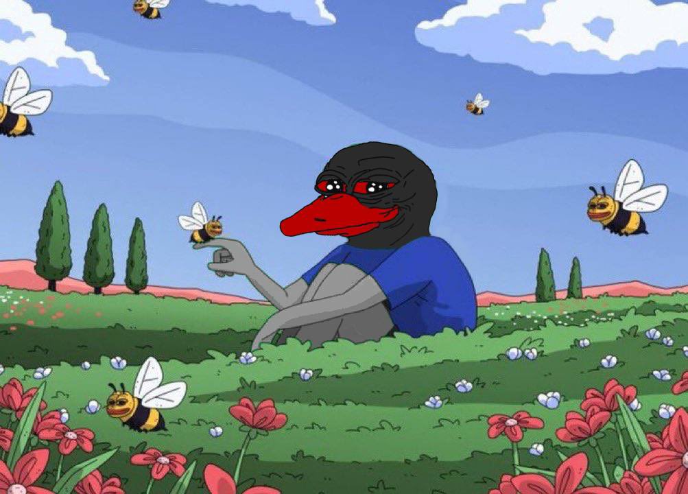 The calm before the storm 

$Dodo 🩸🦢