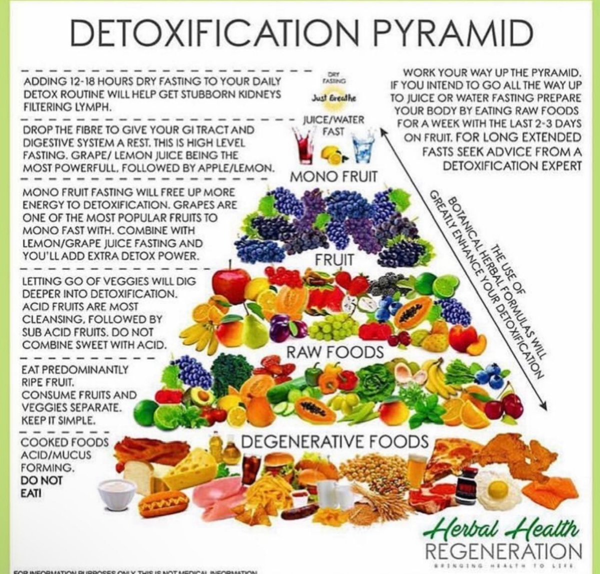 There is a better pyramid,  #nutrition #wellness #wellnessblog #plantmedicine #plantbasednutrition #healthyself #foodismedicine #healthyliving #healthylifestyle #wellnesswarrior #healthylivingtips #healingwithfood #healthy #healthylifestyle #fyp
