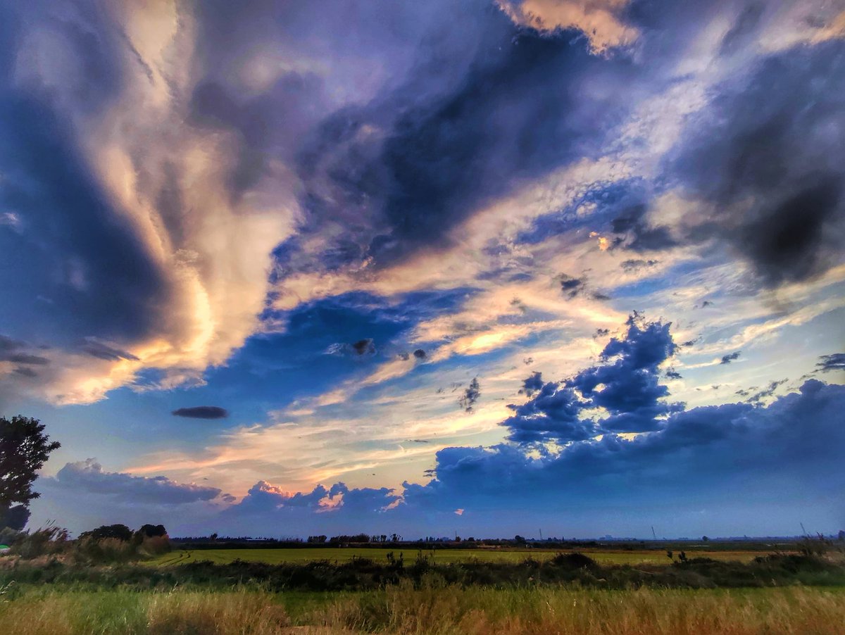 Regardant vers le sud...
.
.

#foto #pic  #picoftheday #ocaso #cielos #cloudscape #landscape #sentimentos  #sunsetphotography #palabras #sunset  #sun  #fotografia  #cielo #sky #tramonto #soul   #puestadesol  #words #sunsetlovers #poesiafotografica  #alma #instagram  #zaragoza