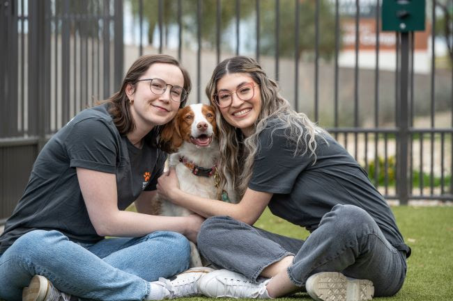Have the free time? Volunteer with AHS at the new Rob & Melani Walton Papago Park Campus! More info here: azhumane.org/become-a-volun…

#volunteer #AHS #arizonahumanesociety #pets #animals #Mysisterscloset #Wellsuited #Mysistersattic