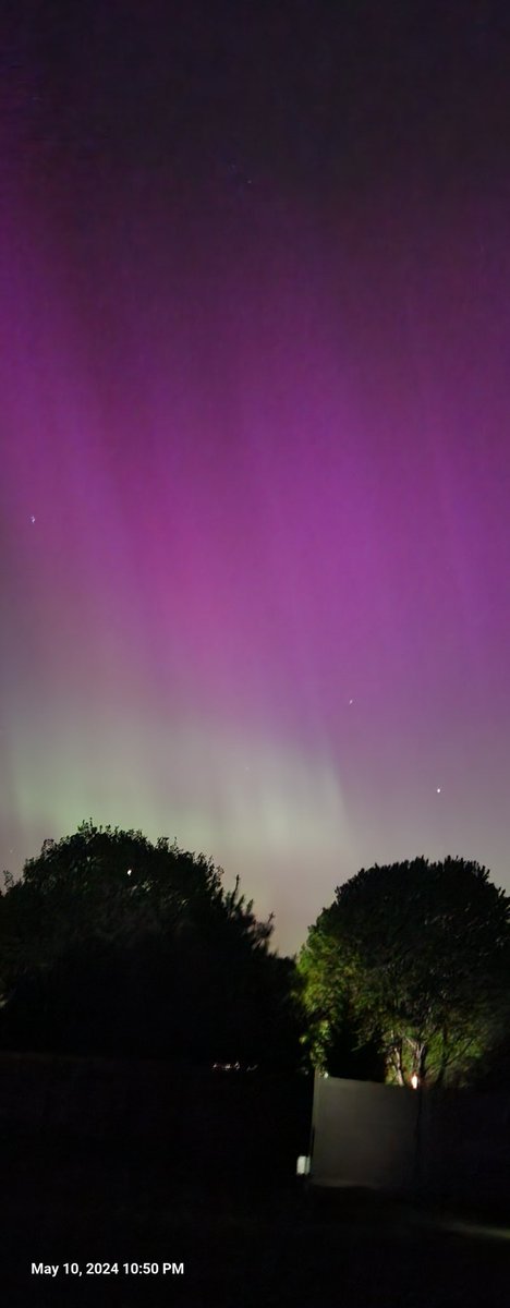 Nicholas Serb (@serbnicholas) on Twitter photo 