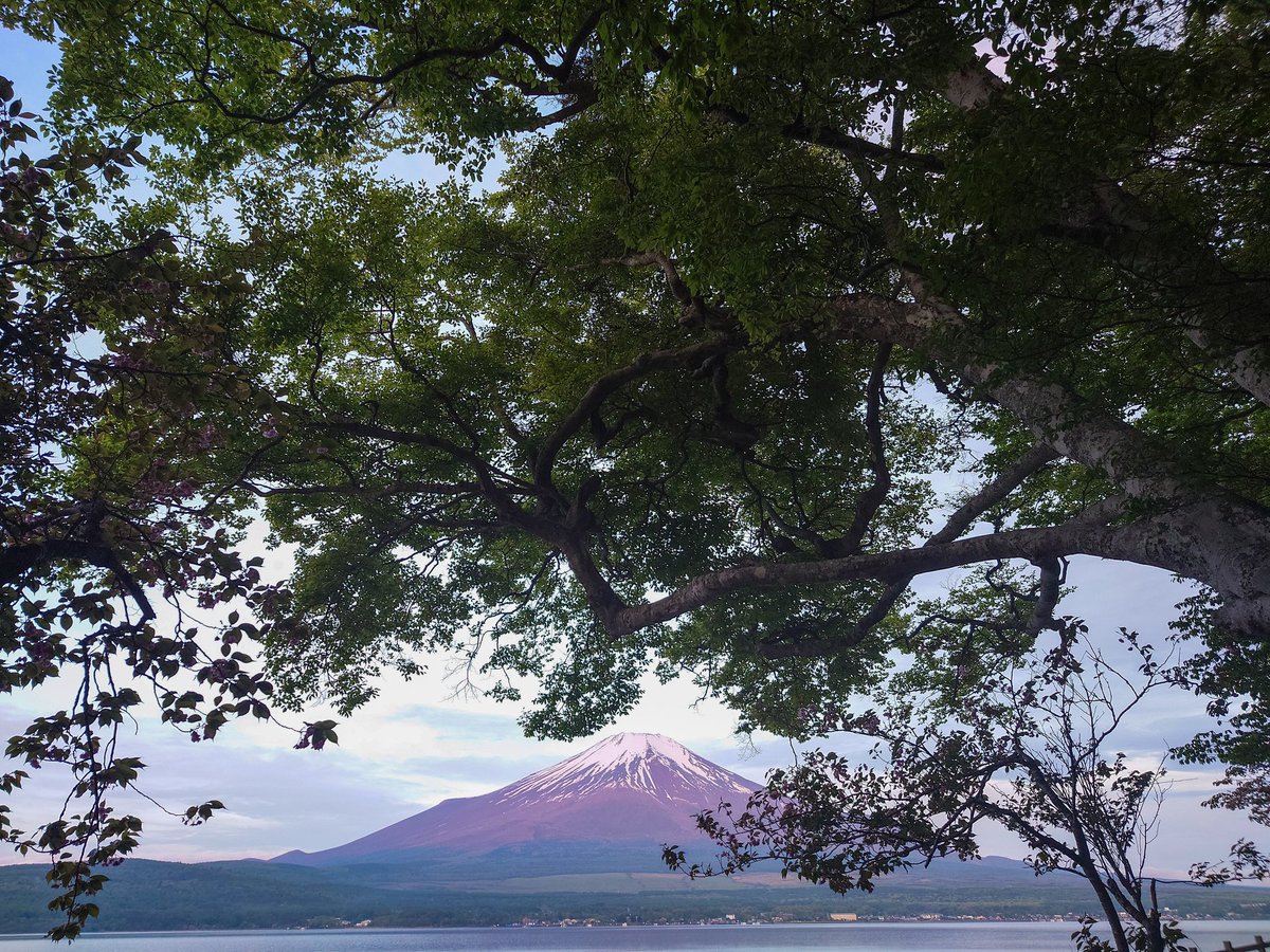 #おはよう富士山 。
今日も見えてます。
#mtfuji #富士山 #山中湖 #fujisan #イマソラ #イマフジ #富士山と山中湖