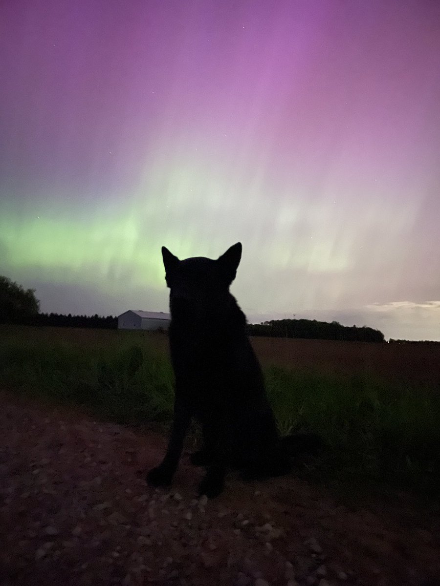 Retired PSD Jack tweet media