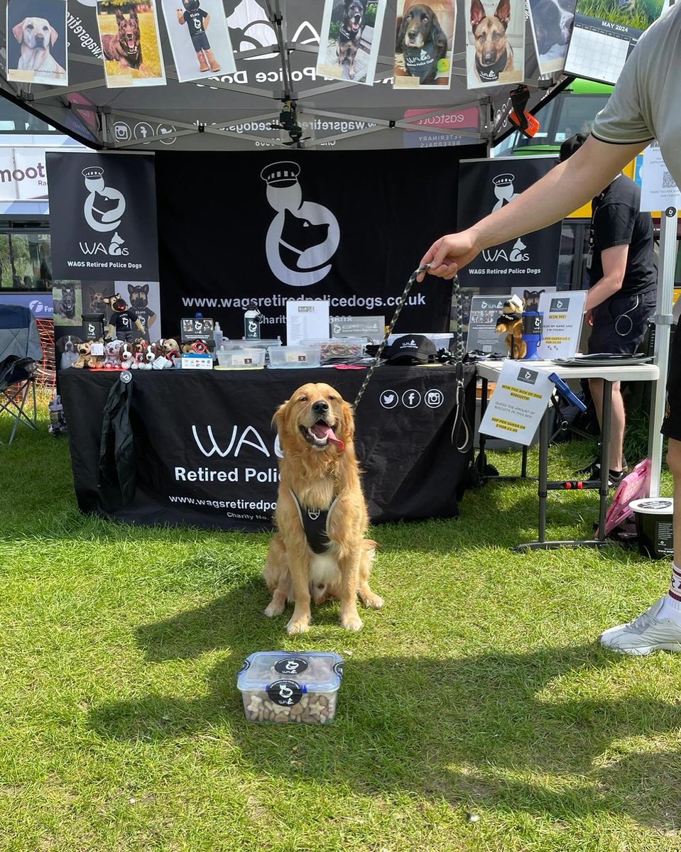 What a wonderful day we had at Weston Rotary Dog show! It was a pleasure to meet so many new people, and dogs, like Rupert, who won the ‘guess the amount of biscuits’ competition! We think he was very happy with his prize! Roll on the next event ♥️🐾