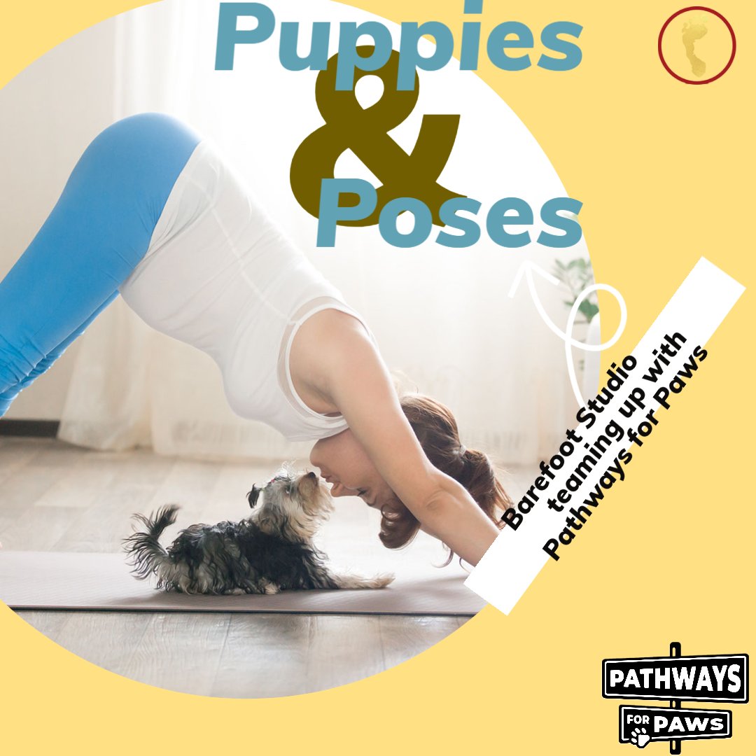 Downward dog just got even cuter! Join us for Puppies and Poses at Barefoot Studio and enjoy a fun and energetic yoga class with adorable furry friends. 

ow.ly/JMVe50Nt7Wn

#puppylove #yogawithdogs #furriendship #rescueismyfavoritebreed #yogapuppies