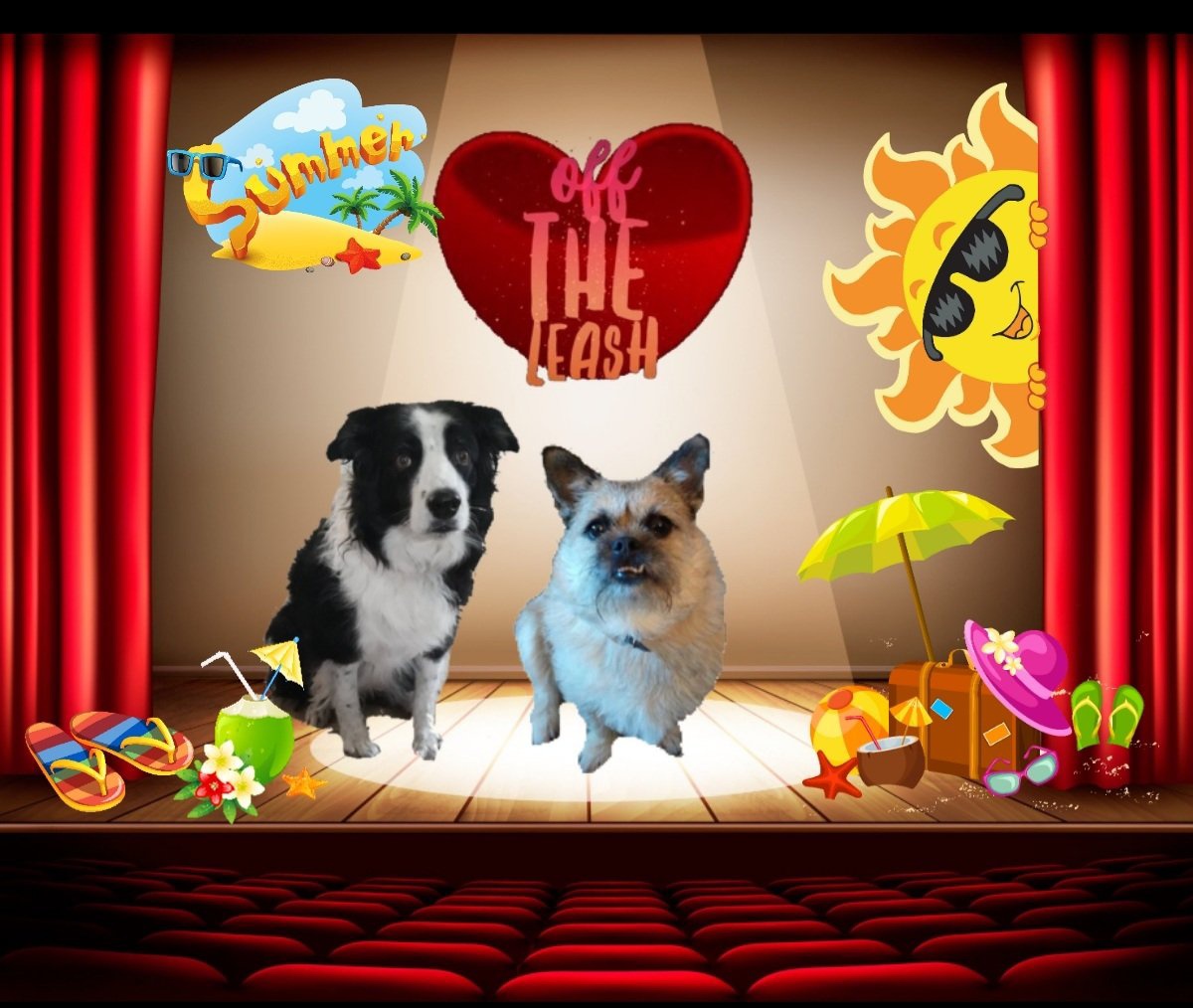 Woo hoo! its #OTLFP show time! Thankyou all for coming I know the humans have had another busy week so put your paws up &Lets get started! Its a bit different today as the warm weather has us thinking summer fun. So we want you all to join in today and share what you'd like to do