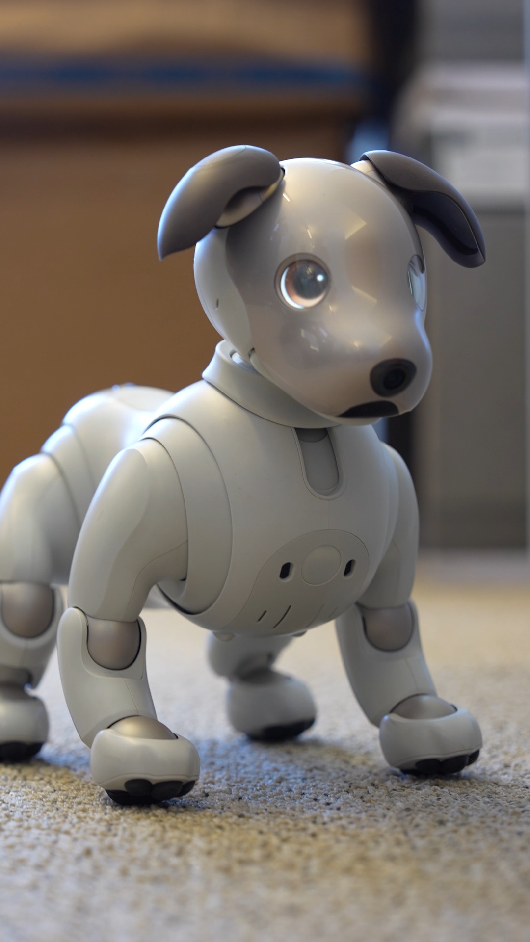 aibo ER-S1000 aibo ER-S1000 Sony aibo Black Sesame Edition | ERS
