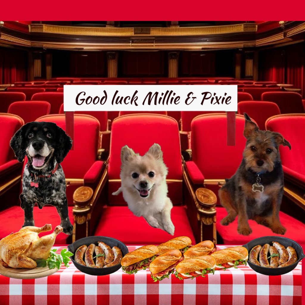 We here for de show an we has upgraded to posh new seats which means a better view of de stage and more room for snacks! 😋🥳 Hi everyone 👋 #OTLFP @KLittleman33 @Ellie12_fml