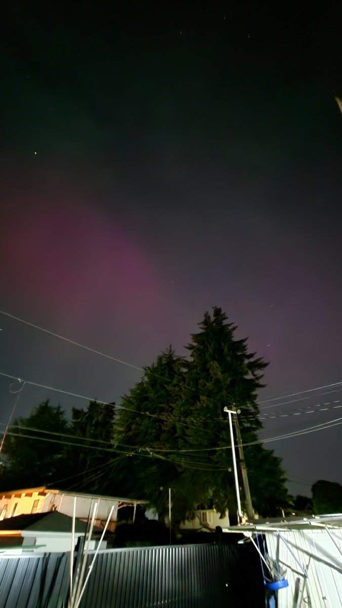 ShimiMamii tweet media