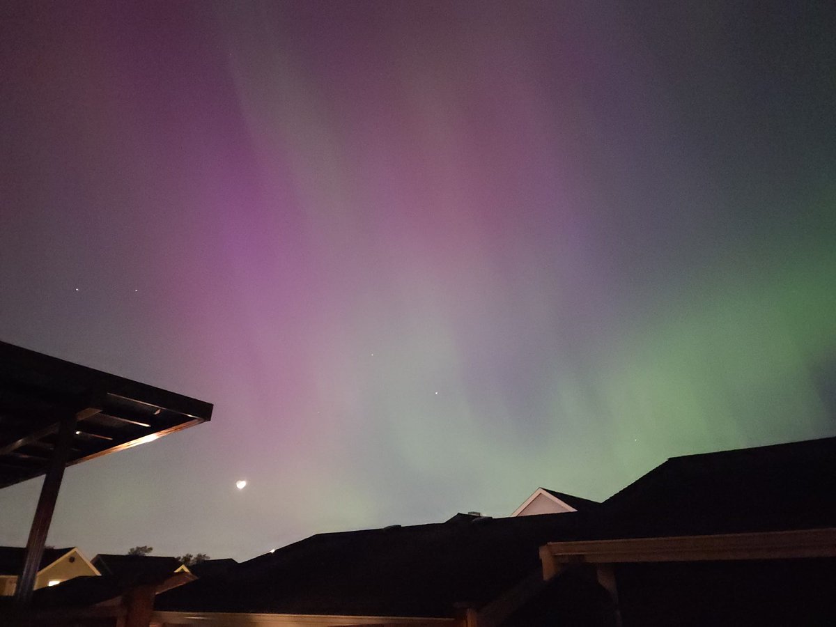 ShimiMamii tweet media