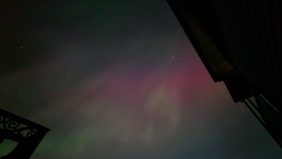 ShimiMamii tweet media