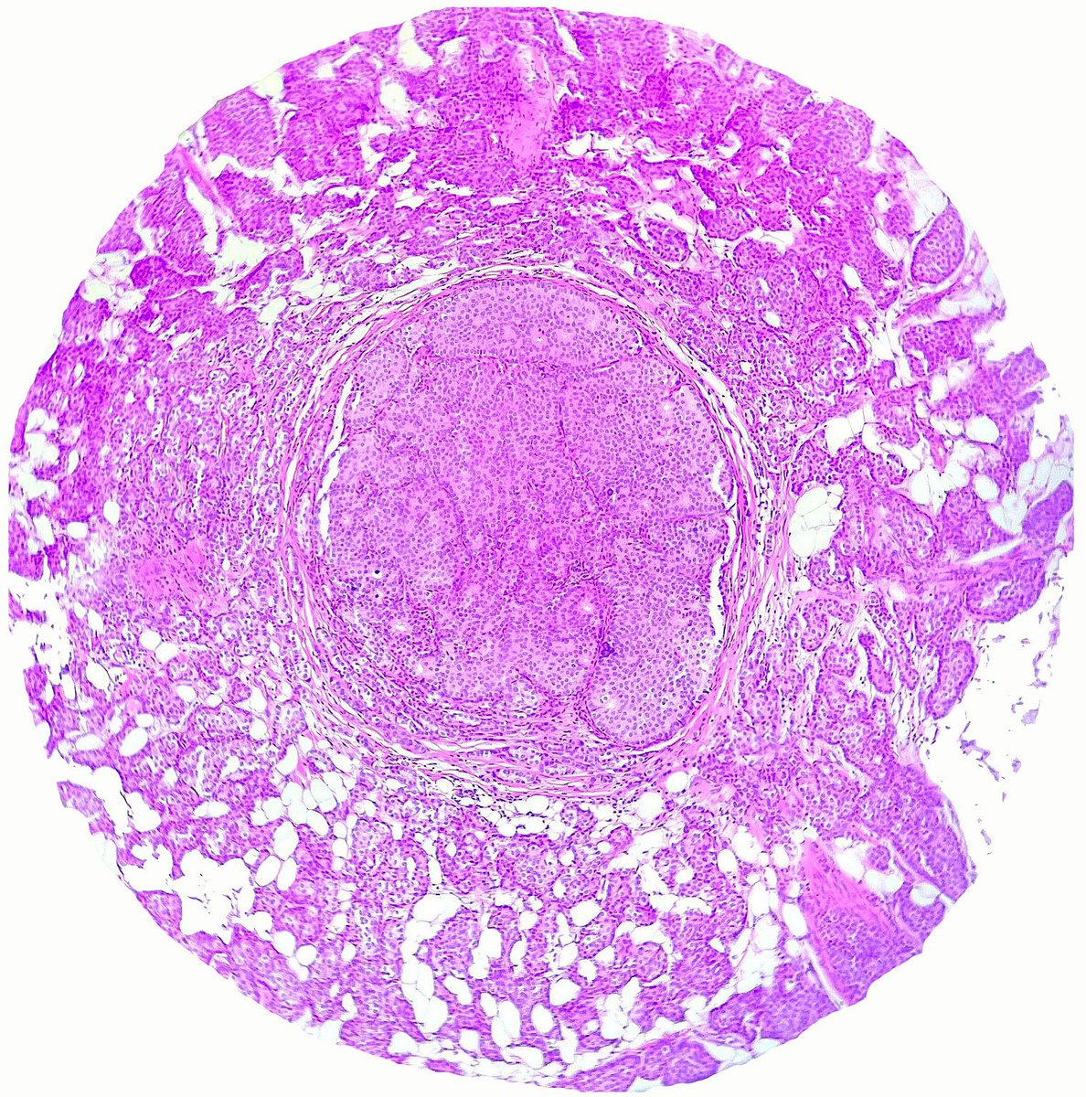 Estef Valdés tweet media