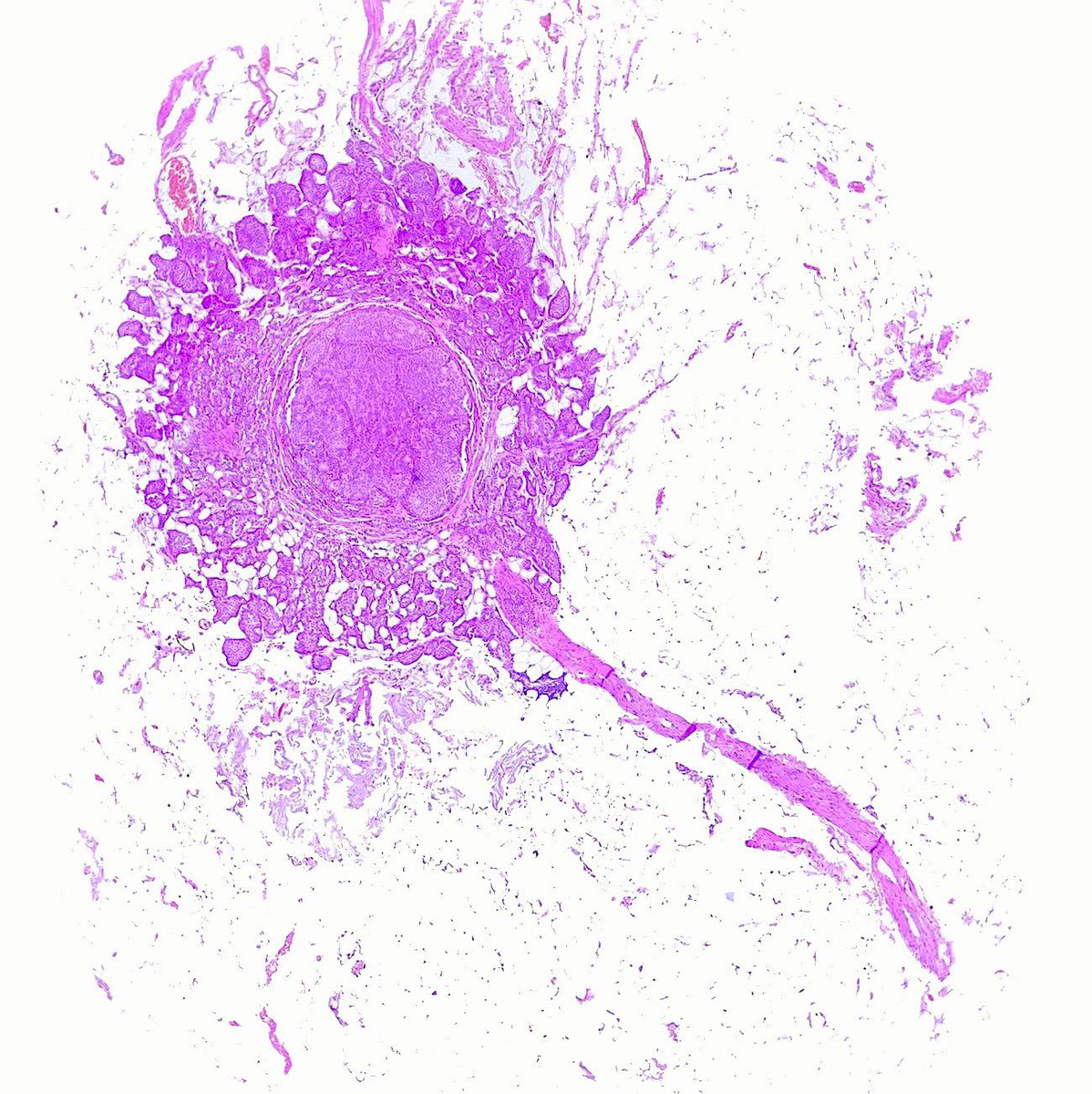 Estef Valdés tweet media