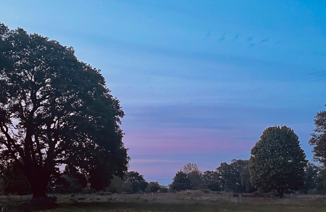 Looking a bit pink towards the North already #NorthernLights #loveukweather @danholley_