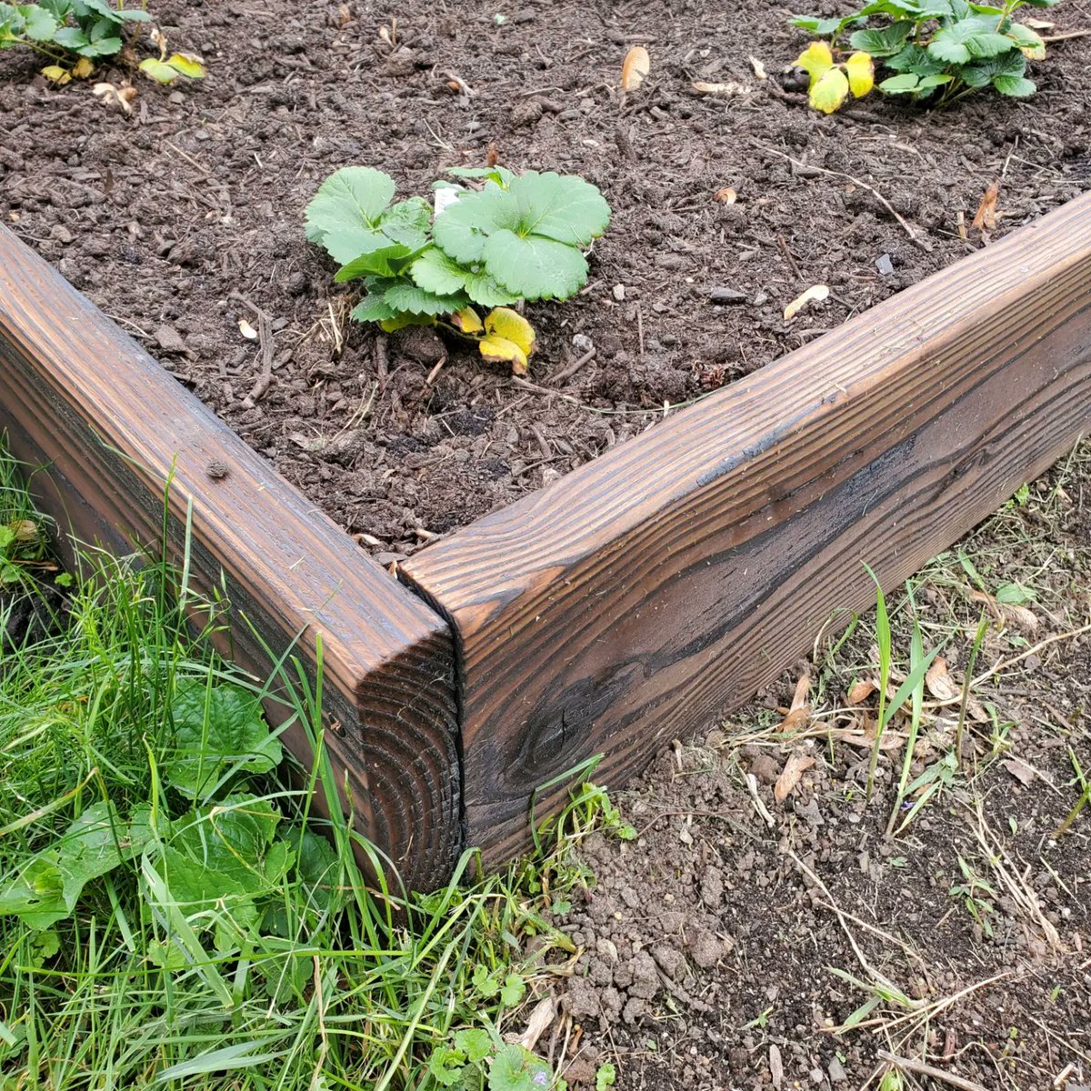 Autumn2May's tweet photo. Setting stuff on fire for our garden beds! Second pic is finished product. 🔥🪵 https://t.co/ipW2vovEvE