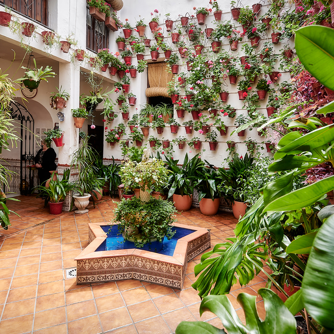 Discover the exquisite tradition of the Patios of Cordoba in May! A festival of colors and aromas awaits you in Andalusia. 🌸✨ Enjoy the unique beauty of this event. 📅 May 2nd to 12th 👉 bit.ly/4aPcUsx #YouDeserveSpain #VisitSpain @CordobaESP