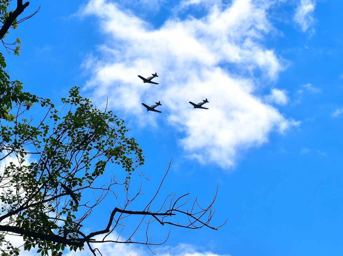 What type of WWII-era planes are these? I photographed them flying to the National Mall today