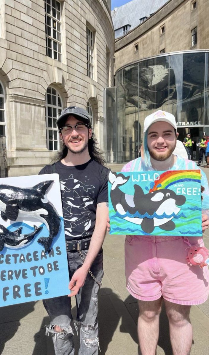 Dolphin Project tweet media