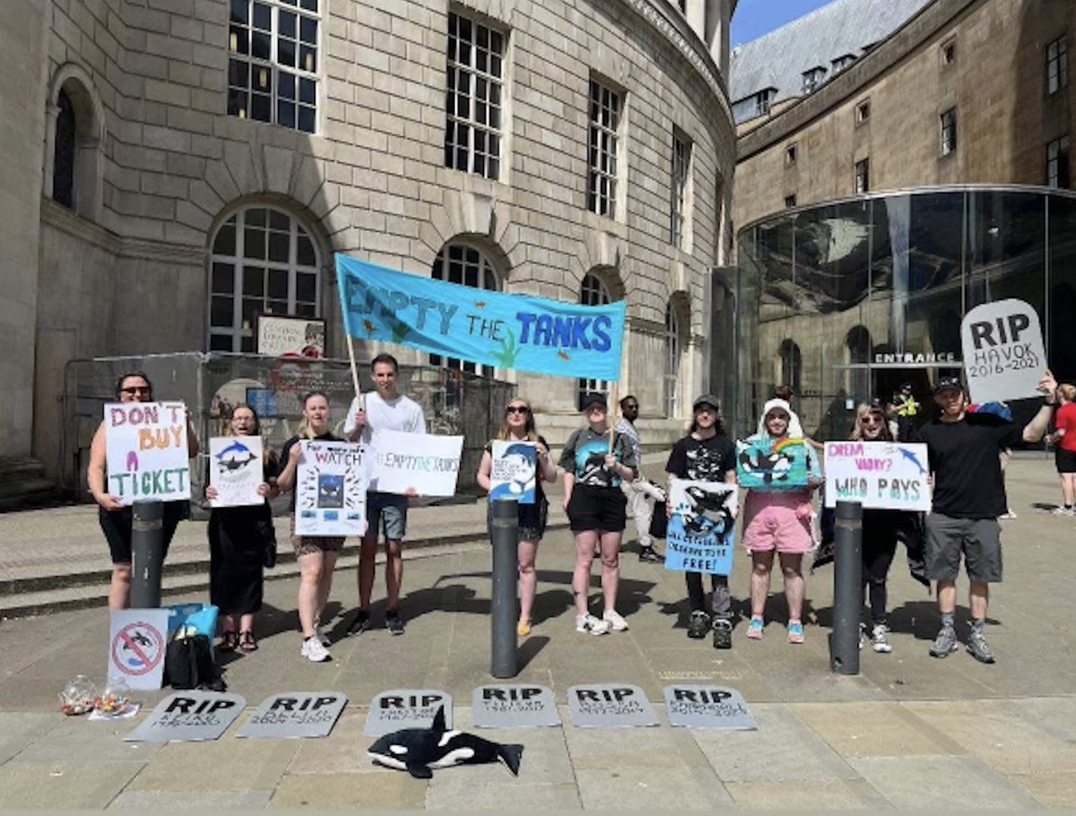 The 2024 #EmptyTheTanksWorldwide event is here, and together we are asking the world to end dolphin and whale captivity. Thank you to all who are using your voices today! #EmptyTheTanks #DolphinProject