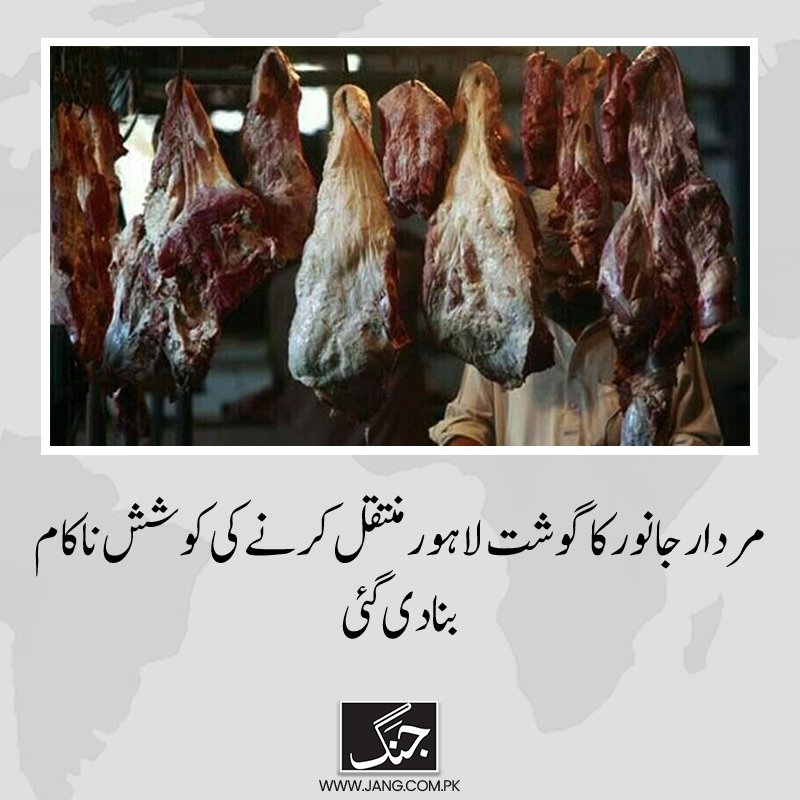 یہ لاہور میں پٹواریوں کی نسل کیوں بڑ رہی ہیں اس کی وجہ یہ ہے۔۔جب گدھے کا گوشت کھائے گے تو گدھے ہی بنے گے انجینئر نہیں 😃۔
#GlobalPakistan
#ReleaseImranKhan 
#GazaGenocide