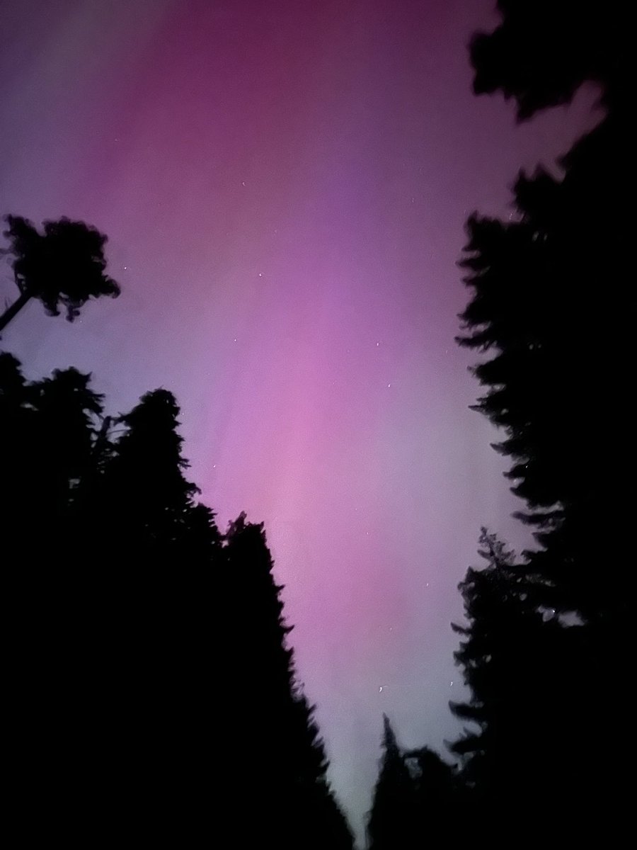 mattvertrees's tweet image. Mt. Rainier Aurora Borealis #sonorthwest #Auroborealis