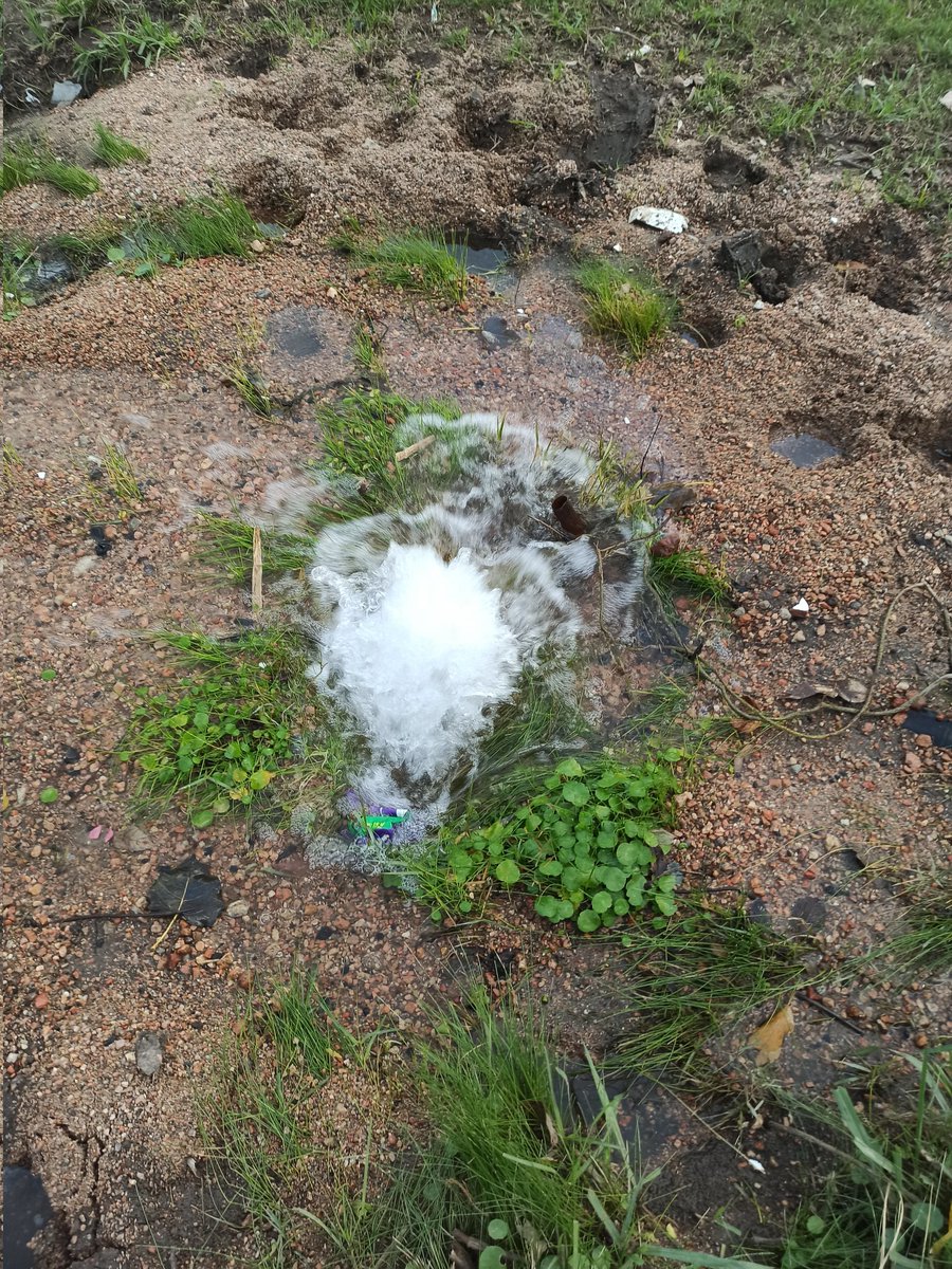 Que pasa <a href="/OSE_Uruguay/">OSE</a>
Más de una semana con esta pérdida de agua dulce y no la reparan.
Se sabe que hay varias denuncias hechas pero nada de nada.
Da lastima lo que se pierde