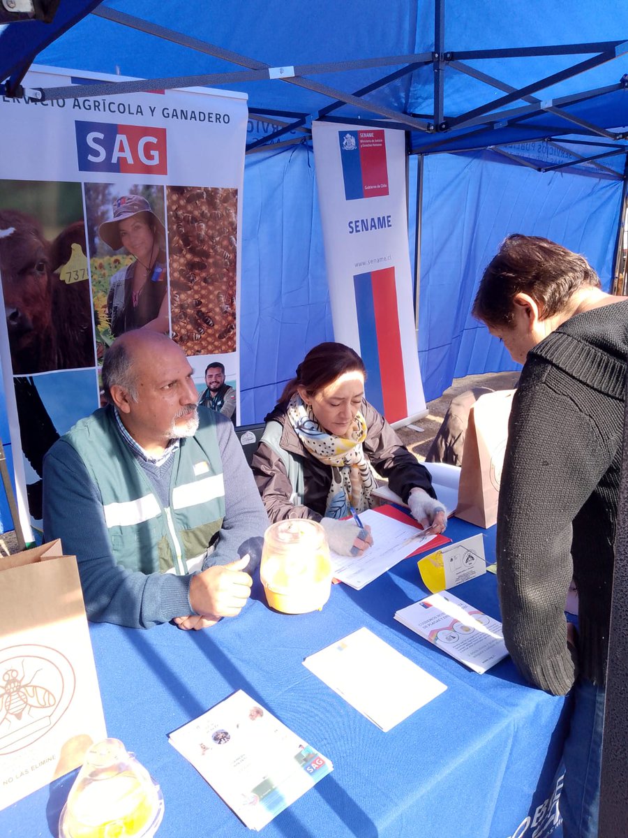 Como parte de las acciones de difusión de la campaña mosca de la fruta, funcionario/as de @sagchile #RM participan en actividad de Gobierno en Terreno en #SanBernardo.