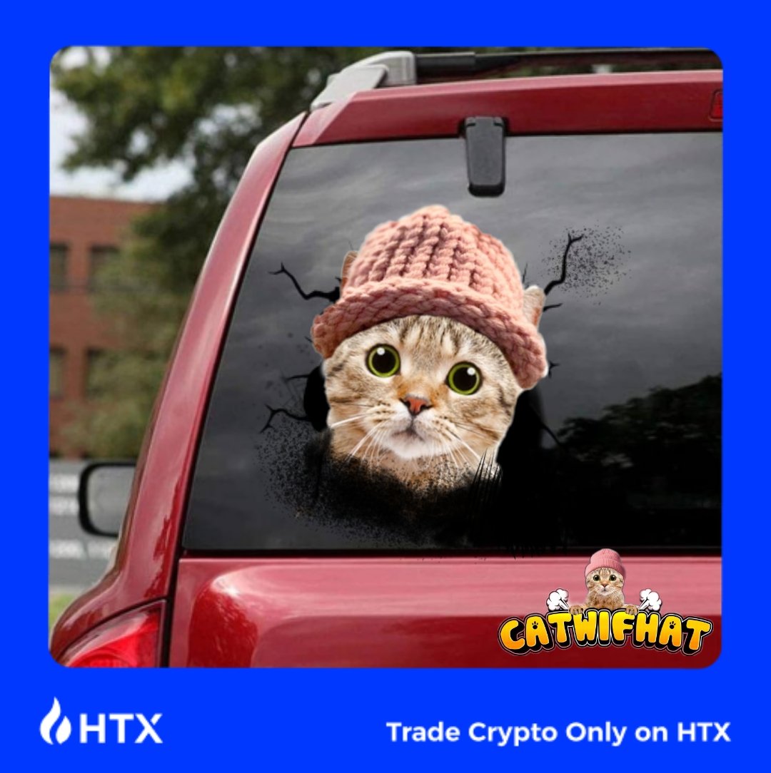 @HTX_Global ohh i have a big community meoow
😼😼😼😼😼😼😼

#CATWIF 
#Huobi #cryptocurrency
#Bitcoin #BitcoinHalving2024 #memecoin #solana #catcoin