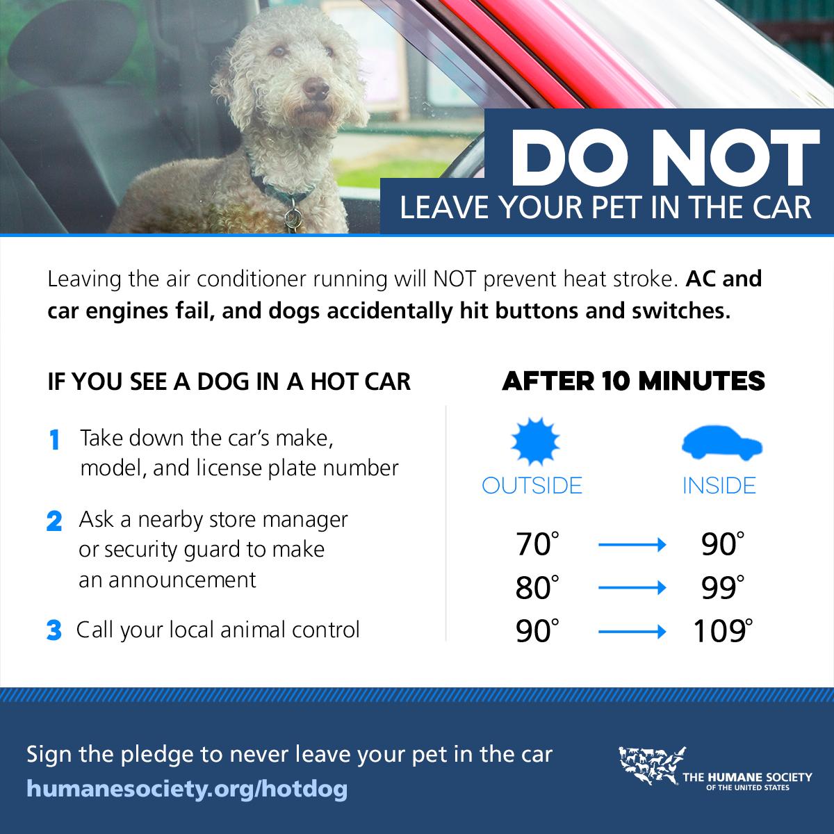 #OTLFP Caution! It's summertime and that means HOT cars! Please don't leave your pets in the car for even a few minutes. Don't make this terrible mistake! It's far too dangerous and even deadly! 😱☀️🌡