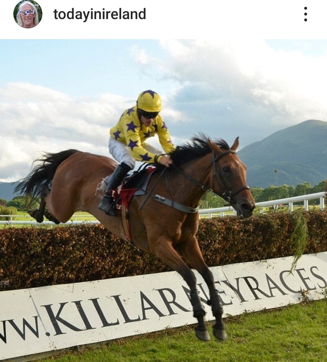 Just booked a room at The Randles for tomorrow's Killarney Races meeting! So psyched horse racing is back -- it must be summer!! @KillarneyRaces @randles_hotel