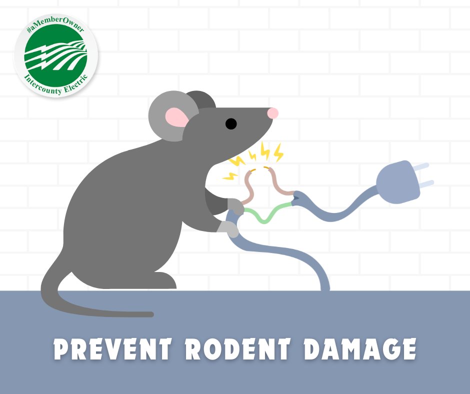 Rodents 🐭 + electrical wiring 🔌 = fire 🔥. Don't let furry intruders create havoc! Seal cracks and holes in your home with spray foam or masonry repair to keep critters out. #electricalsafety