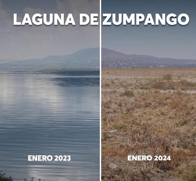 En el Día Mundial de las Aves Migratorias les recuerdo que MORENA destruyó la laguna de Zumpango para que las aves no obstruyeran las operaciones del AIFA.

Seguir con MORENA es devastar la naturaleza. 

#NiUnVotoAMorena
#NarcoCandidataClaudia57
#DíaMundialDelasAvesMigratorias