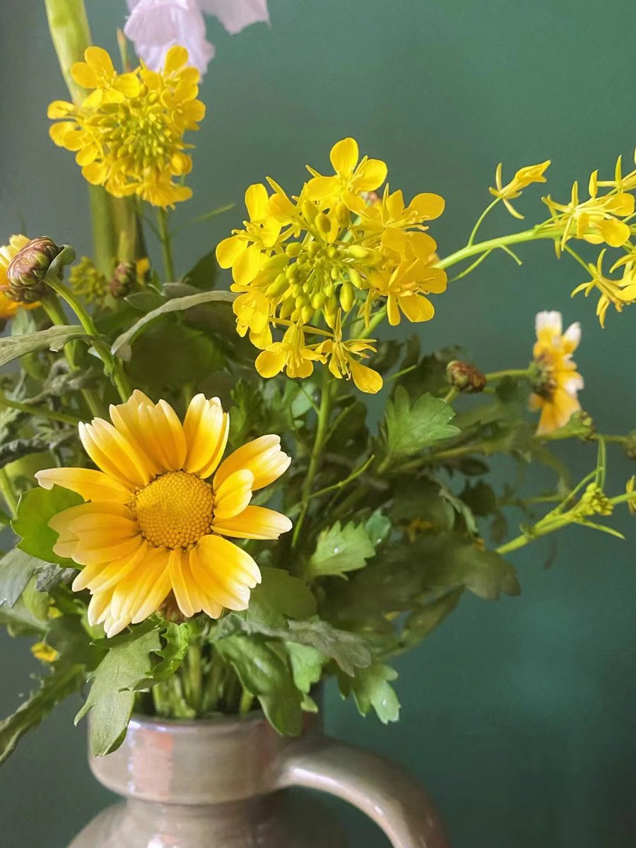 BIXIN.COM tweet media