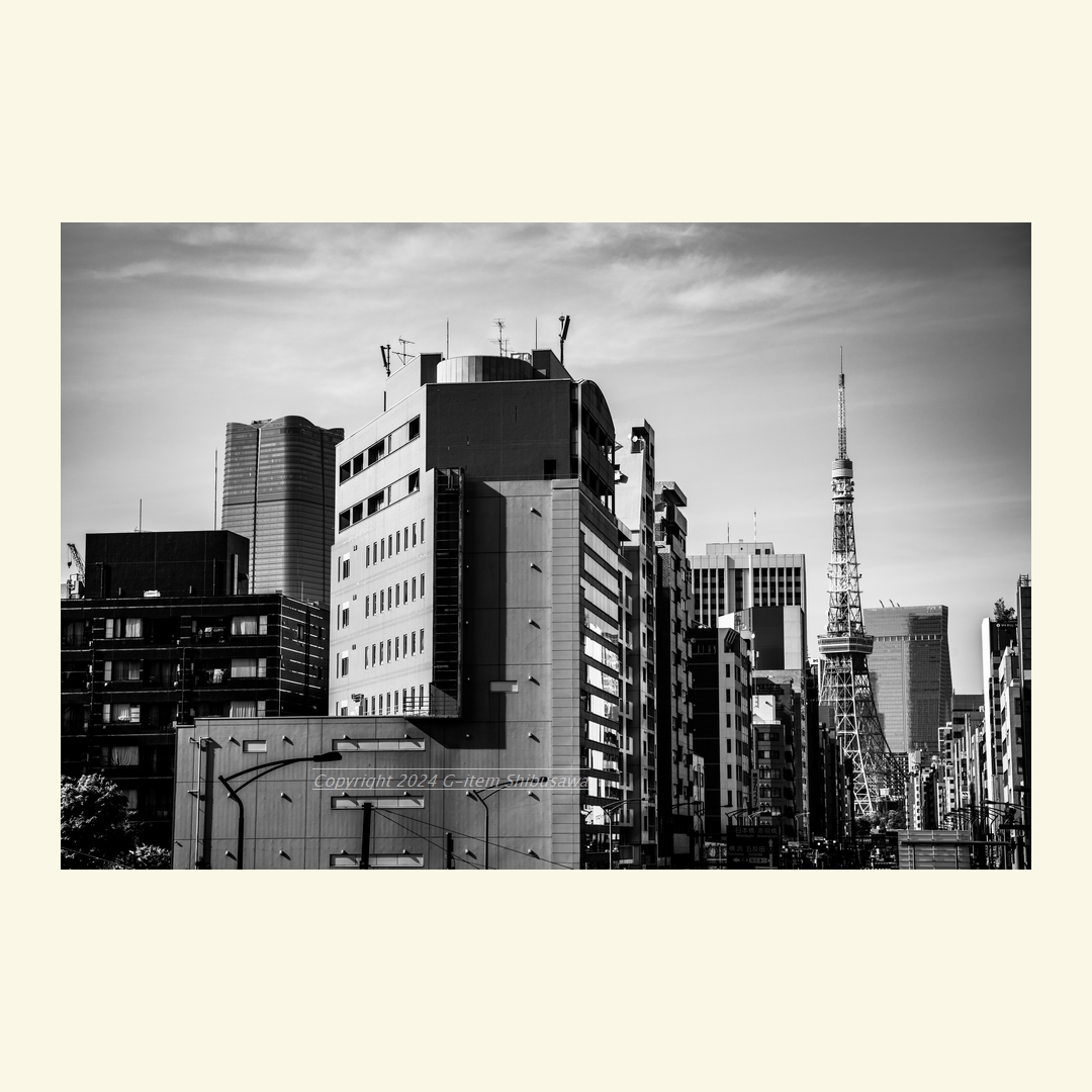 Crowded Tokyo
#streetphoto #streetphotograph #Tokyo #Japan 
#monochrome #blackandwhite 
#blackandwhitephotography #blackandwhitephoto 
#pentaxk1mkii #pentax_dfa28105 #pentax
#写真好きな人と繋がりたい #ファインダー越しの私の世界