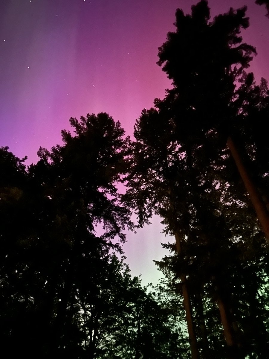 mbaernandes's tweet photo. Uma beleza sem fim , Aurora boreal . Issaquah , Washington. https://t.co/QhHFLZwGzW
