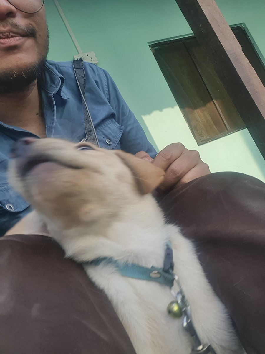 Went to Biratnagar,
Played with a puppy. 
Great success.