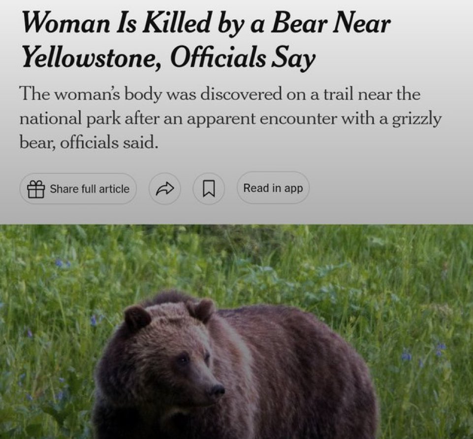 Please, no one - man OR woman Interact with wild bears… I’m a little worried that this meme being as popular as it is, people start taking it seriously.