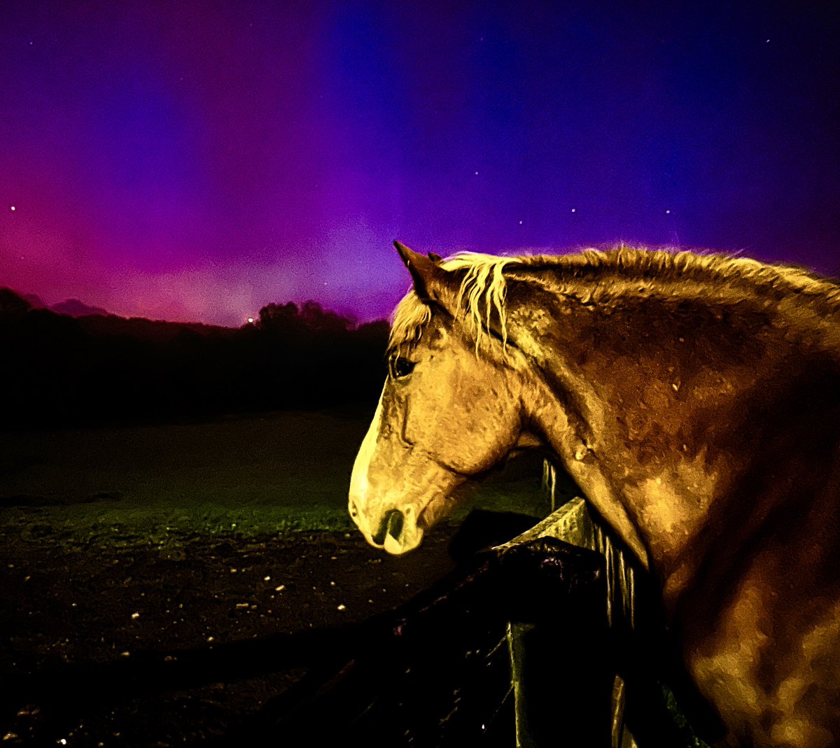 Pesto & Aurora #aurora #nightsky #iphonephotography #iphone #Luminar