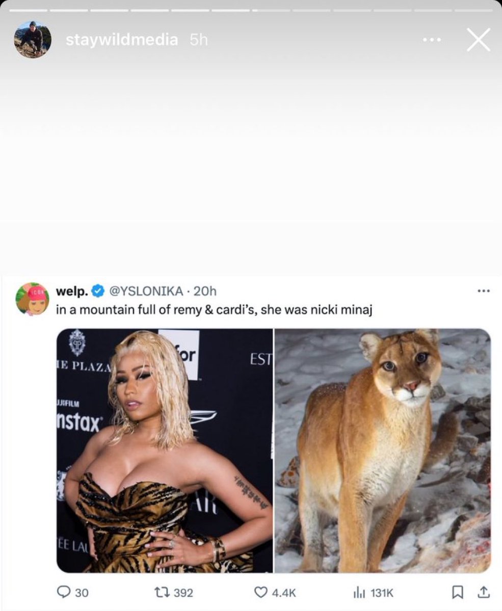 The man who photographed the mountain lion reposted this and 😭😭😭😭😭 everyone loves the QUEEN
