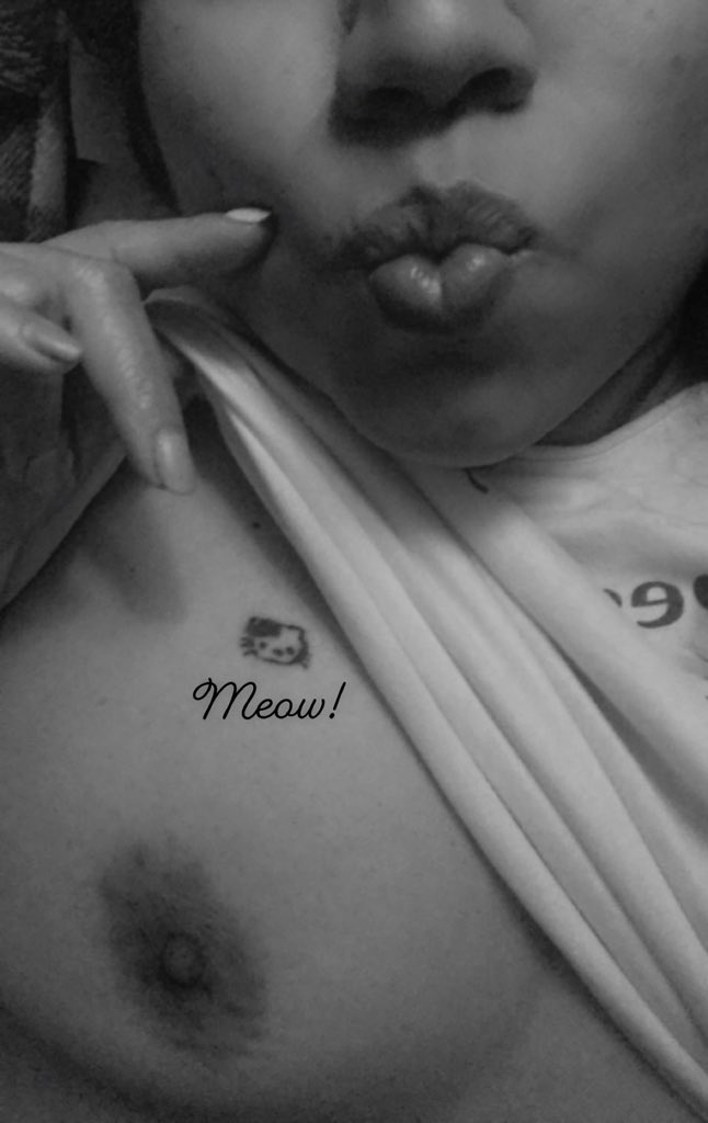 MeowTitty's tweet photo. Le quise dar un beso en la frente pero… me equivoqué de cabeza. 😏😺 #Meow https://t.co/lBl51MWyYz