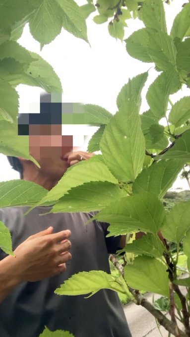 uploaded 3min https://t.co/etoSL41VTz