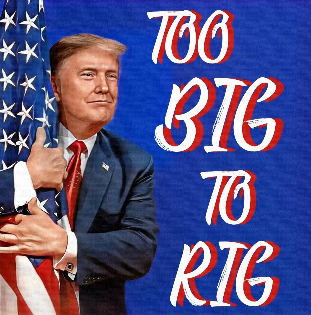President Trump 2024
#TooBigToRig