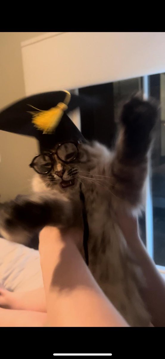 Kita Graduated College today!