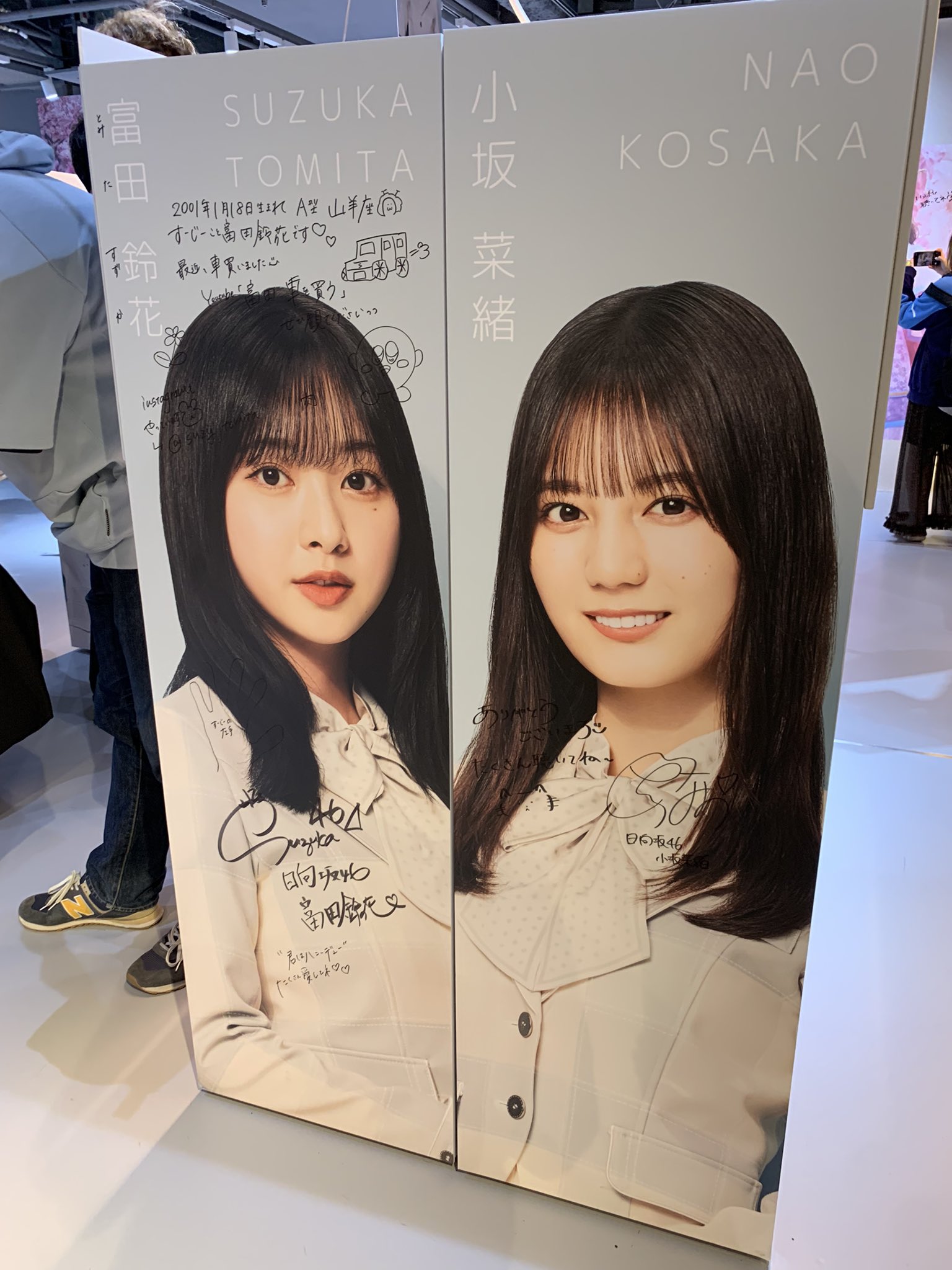 ン 大人気 新品 ノ 日向坂46 シブツタ 君はハニーデュー フライヤー 小坂菜緒 尊 アイドル