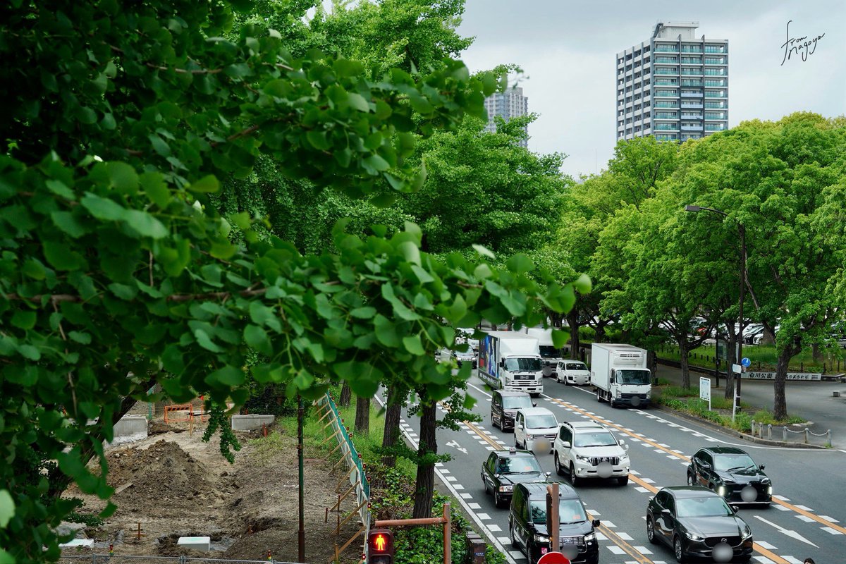 若宮大通は230万人都市の中心とは思えない程に緑が溢れている🌳

#名古屋2024