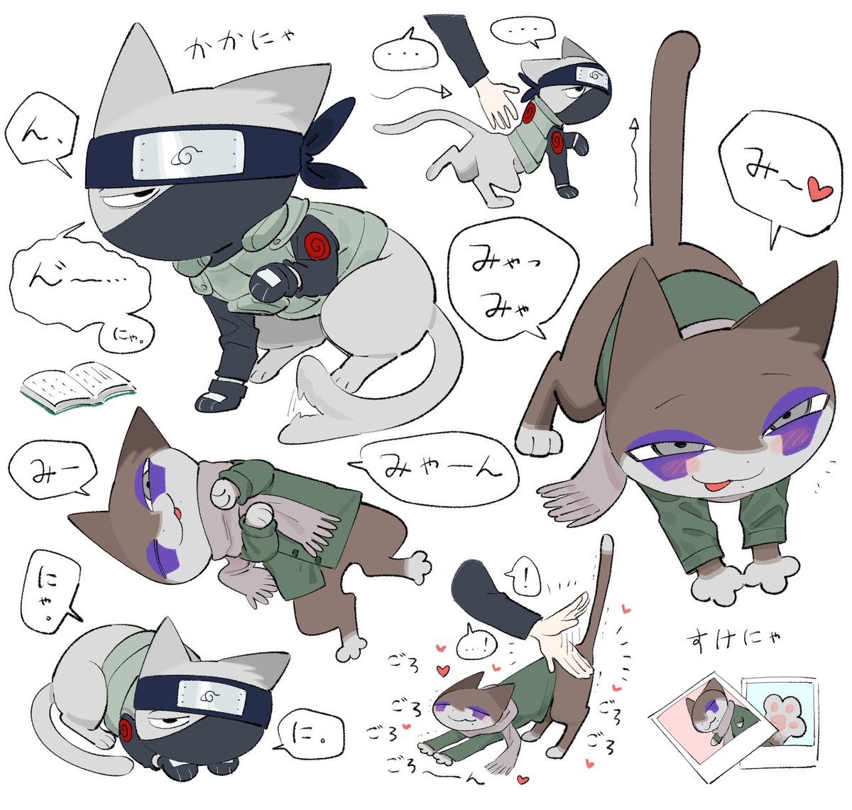 카카냥 스케먕 😼😽