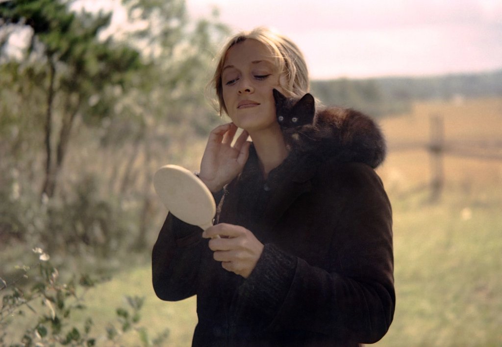 Metrograph tweet media